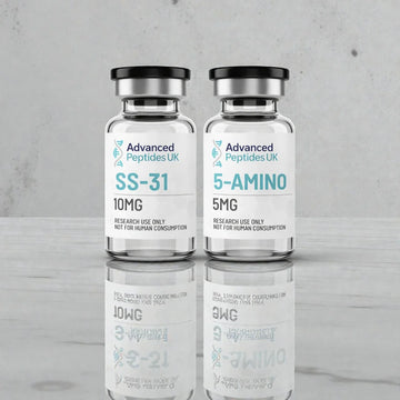 Research Bundle - SS31 / 5 Amino 1MQ